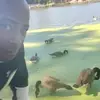 William Vereen - @william.vereen4 - TikTok
