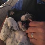 Jack William Vipond Smith - @jackwilliamvipond - Instagram