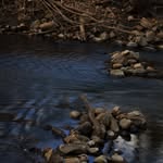 William Voigt Photography - @williamvoigtphotography - Instagram