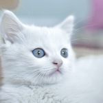William Wampler - @wampler.william - Instagram