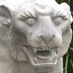 William Wardell - @william.wardell.7 - Instagram