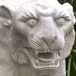 William Wardell - @william.wardell - Instagram