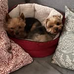 Heike Warnecke-Williams - @warneckewilliams - Instagram