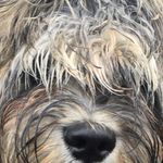 William  Warwick - @william_warwick - Instagram