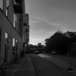 William wassmann - @william_wassmann - Instagram