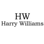 Harry Williams Official - @harrywilliamswatch - Instagram