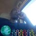 Mphatso William Watch - Facebook