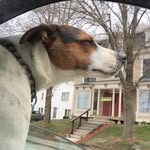 William Waterman - @william_waterman - Instagram