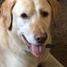 Bill Waychoff - Facebook