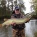 William Waychoff - Facebook