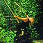 William Webb - @william_webb - Instagram