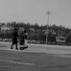William_webber - @william_webber - TikTok