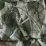 William Webley - @hunting.67 - Instagram