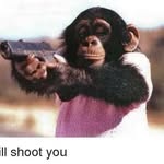 William Weddleton - @williamw2702 - Instagram