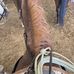 William Weakley - Facebook