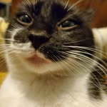 William Wegner - @william.wegner.5667 - Instagram