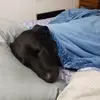 William Wegner - @william.wegner2 - TikTok