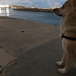 William Wehner - @narsatolhv - Instagram