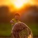 William Will - Facebook