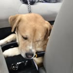 William Weiser - @weiseroo - Instagram