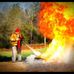 William Wellmeier - Facebook