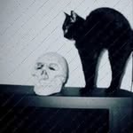 William Wesemann - @sharynheister344 - Instagram