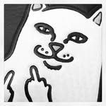 William Westcott - @greendogvilletown - Instagram