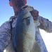 William Wester - Facebook