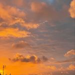 William-André Westermann - @williamwestermann_ - Instagram