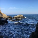 William Westermann - @william.westermann - Instagram