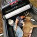 William Wheatcraft - Facebook