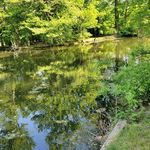 William wheaton - @wheaton5880 - Instagram