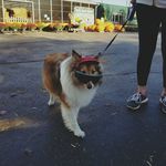 William Wheaton - @william.wheaton1 - Instagram