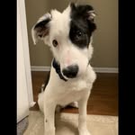 William Wheaton - @sillywilly0829 - Instagram
