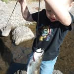 William Wheeling - @browniiwheeling27 - Instagram