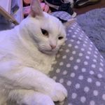 William Whitbread - @willwhitbread07 - Instagram