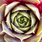 William White - @williamwhite.daily.photos - Instagram