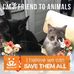 William Michael Whitton - Facebook