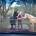 William Whitwell - Facebook