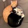 williamwiebe685 - @williamwiebe685 - TikTok