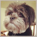 Winston William Wiebe - @winnywillwiebe - Instagram