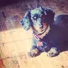 William Wiersma - @williamwiersma279 - TikTok