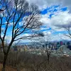 william_wingston - @william_wingston - TikTok