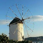 @williamwigton15 - Instagram