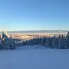 William Wikström - @userzw5b2jsac2 - TikTok