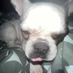 William Wikstrom - @williamwikstrom5014 - Instagram