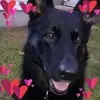 William Wilding - @william.wilding6 - TikTok
