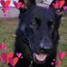 William Wilding - Facebook