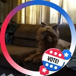 William Wilhite - @wildbill1925 - Instagram