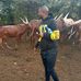 William Nguta - Facebook